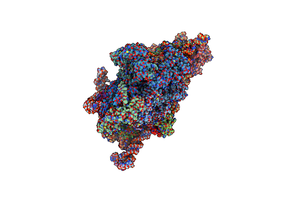 6W2S image