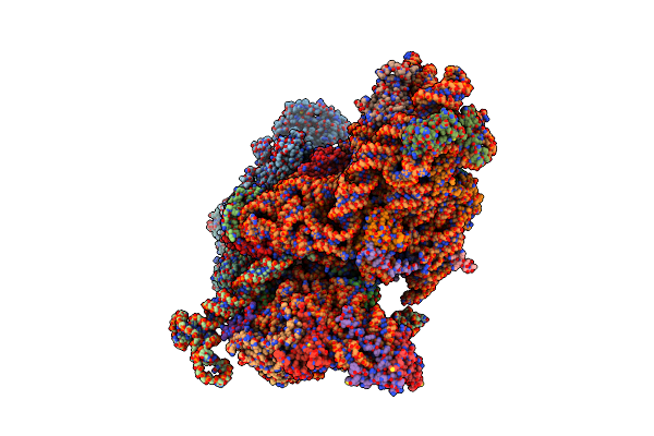 6W2T image