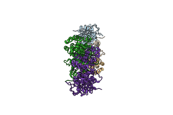 6W3C image