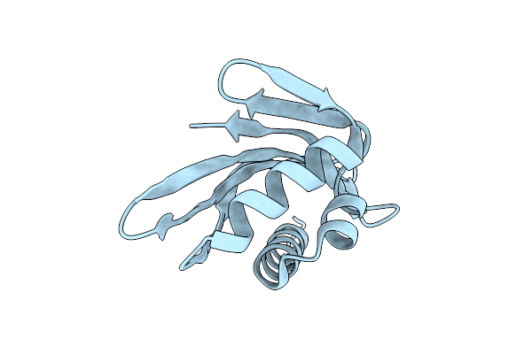 6W3D image