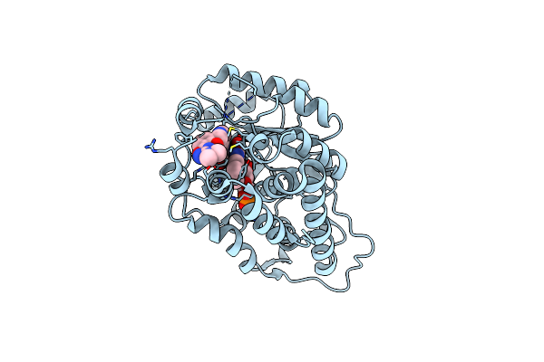 6W4C image