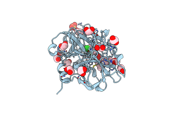 6W50 image