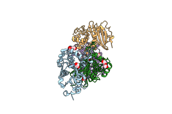 6W5F image