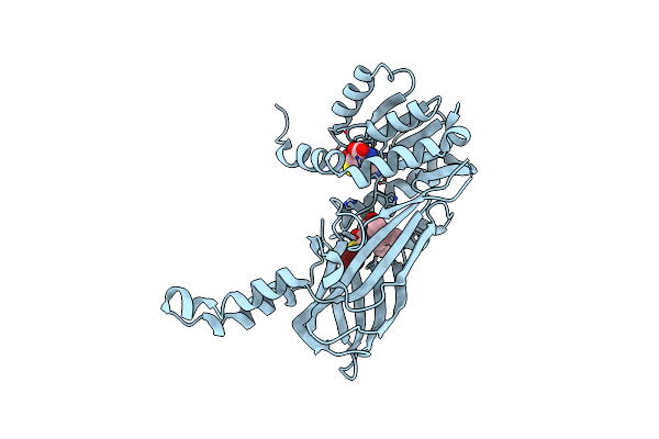 6W6D image