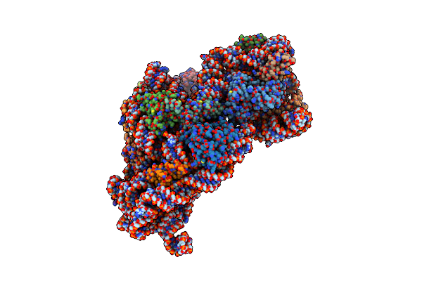 6W6K image