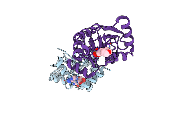 6W6Y image