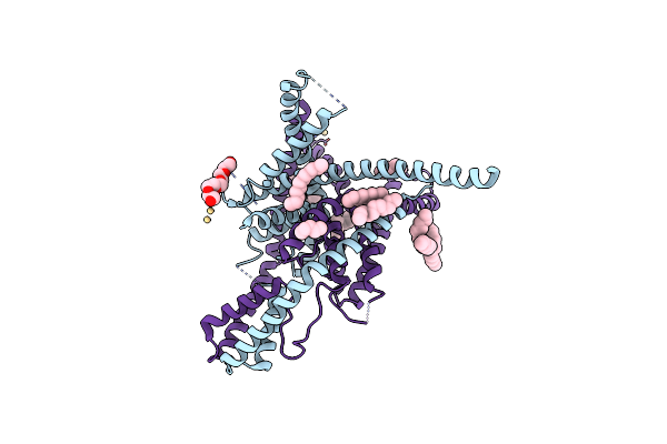 6W7D image
