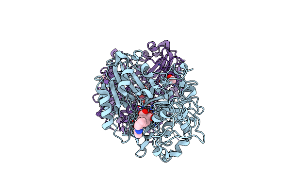 6W7L image