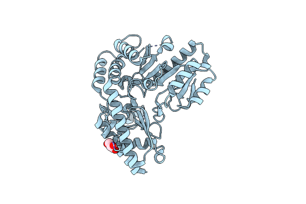 6W7X image