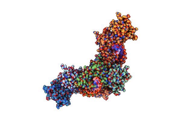 6W8B image