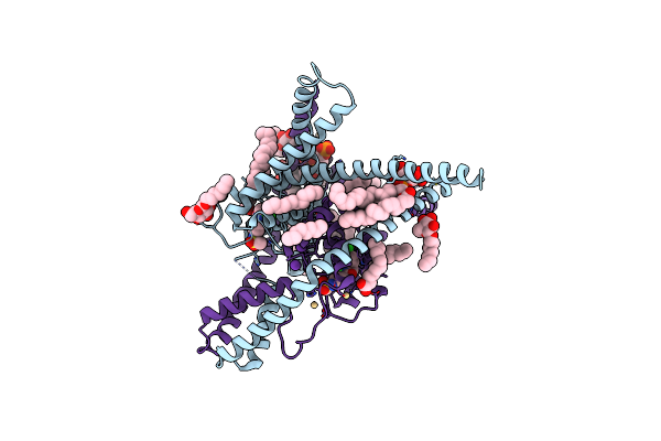 6W8C image