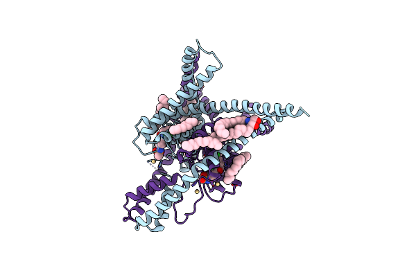 6W8F image