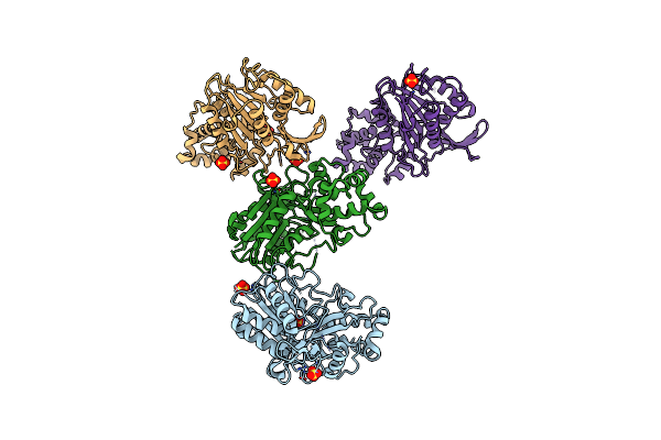 6W8S image