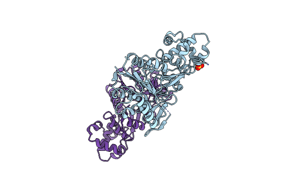 6W8T image