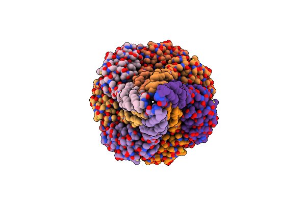 6W8X image