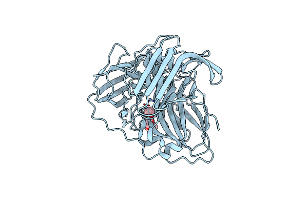 6W9X image