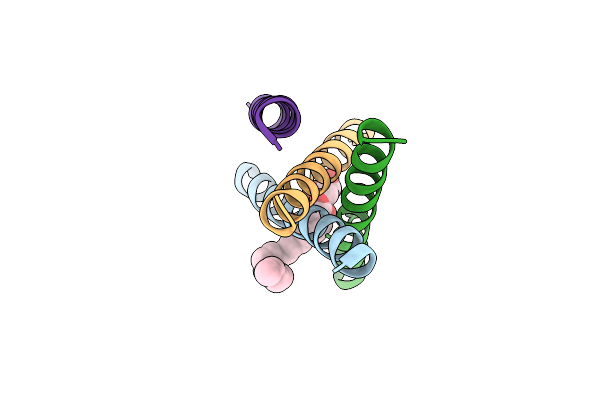 6W9Y image