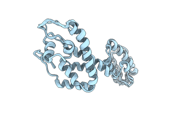 6WAP image