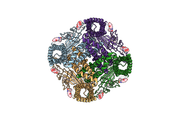 6WB8 image