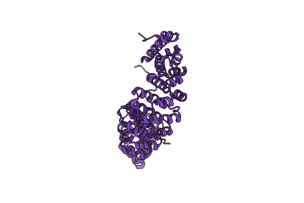 6WBB image