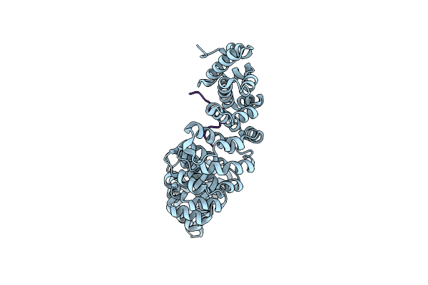 6WBC image