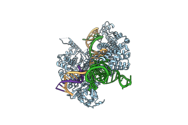 6WBR image