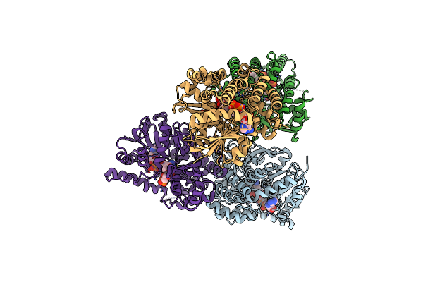 6WBT image