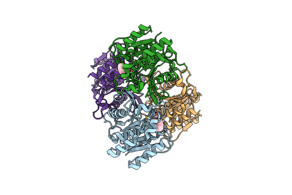 6WCX image