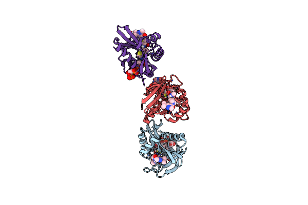 6WFG image