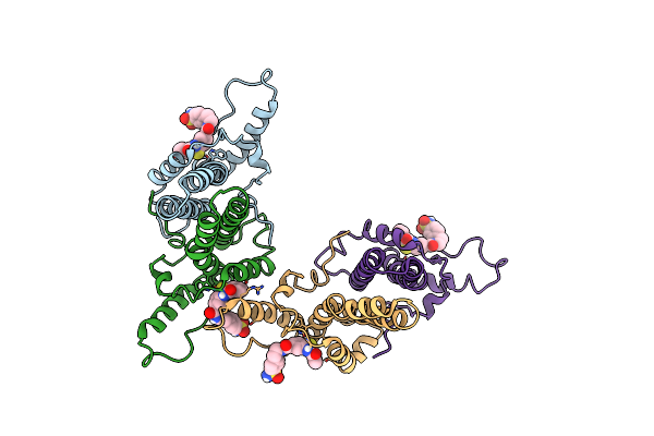 6WFS image