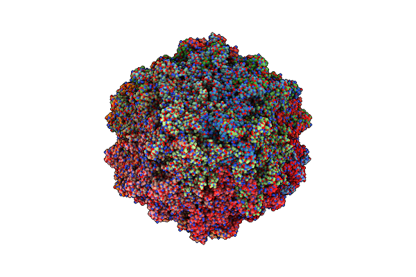 6WFT image