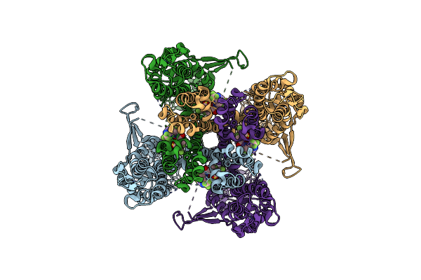 6WJ5 image