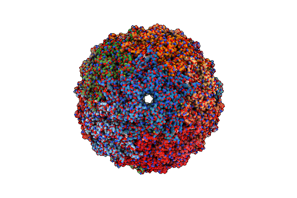 6WKV image
