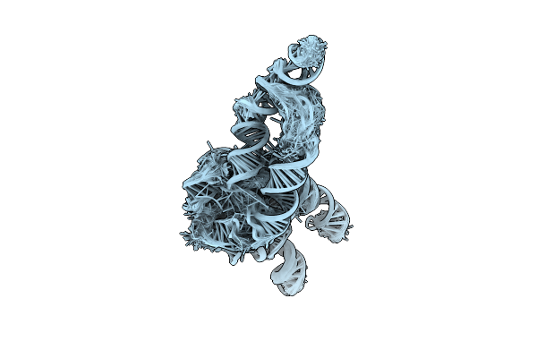 6WLN image