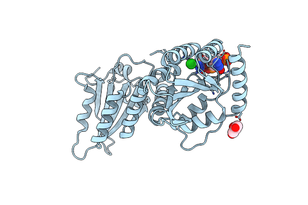 6WMA image
