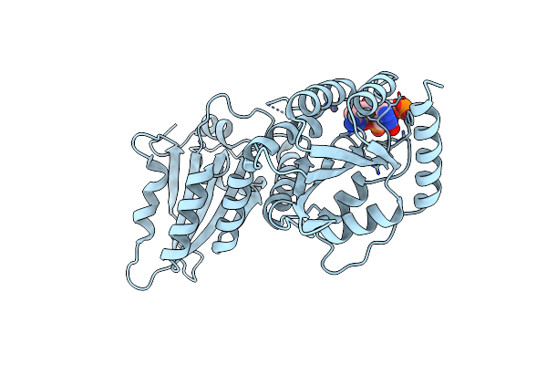 6WMB image