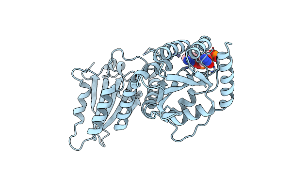 6WMC image