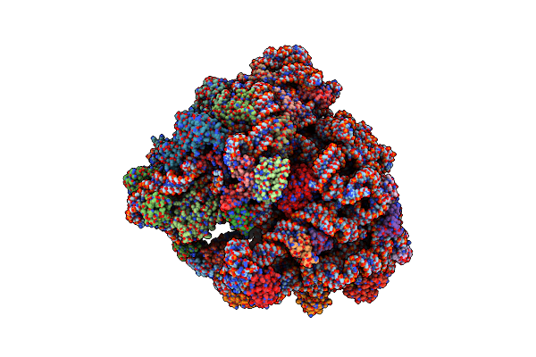 6WNV image