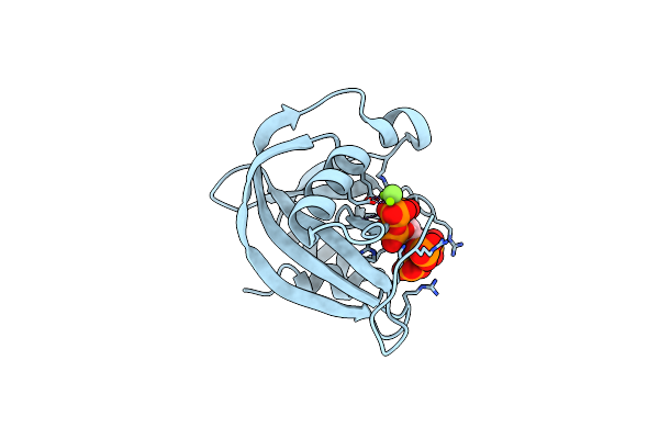 6WOB image