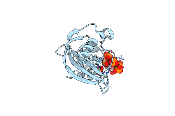 6WOG image