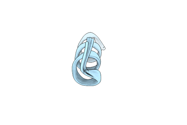 6WPD image