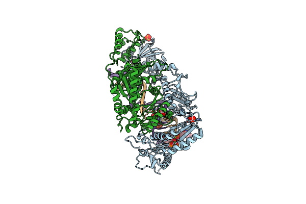6WPF image
