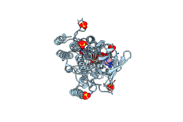 6WPU image