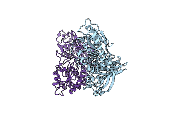 6WPX image