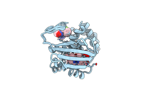 6WQE image