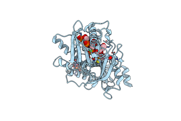 6WRE image