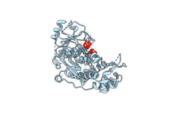 6WRO image