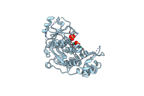 6WRR image