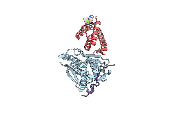 6WS5 image