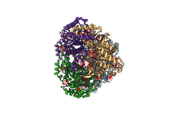 6WSI image